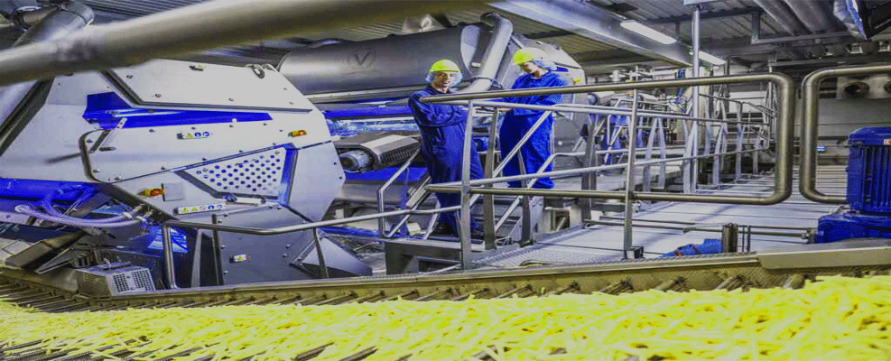 دستگاه خلال سیب زمینی تولید سیب زمینی خلالی