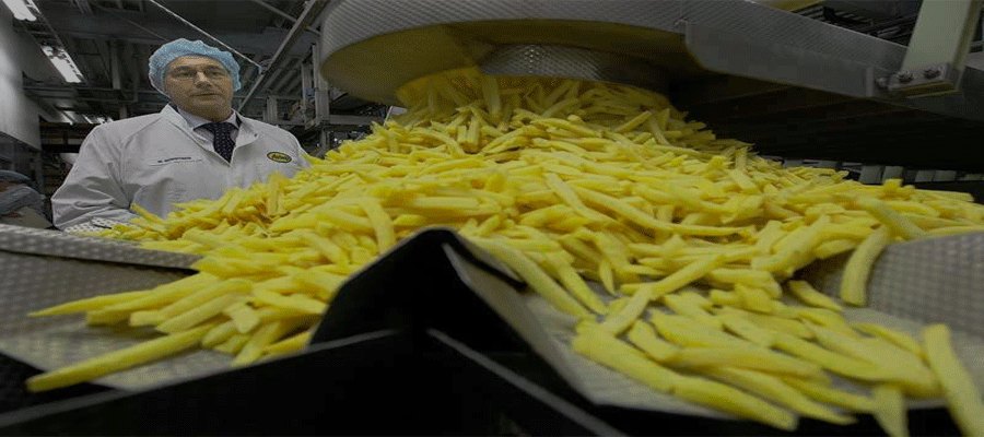 دستگاه خلال سیب زمینی تولید سیب زمینی خلالی