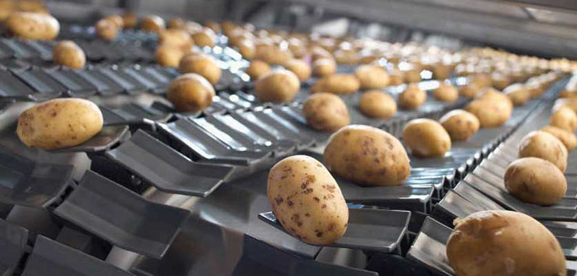 خط تولید فرنچ فرایز قیمت خط تولید خلال سیب زمینی 